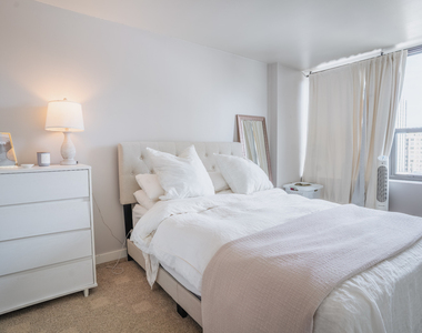 1560 N Sandburg Terrace - Photo Thumbnail 18