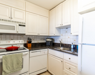 1560 N Sandburg Terrace - Photo Thumbnail 11