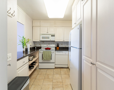 1560 N Sandburg Terrace - Photo Thumbnail 10