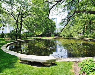 505 N Lake Shore Drive - Photo Thumbnail 19