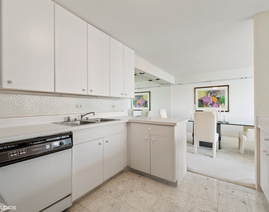 505 N Lake Shore Drive - Photo Thumbnail 3