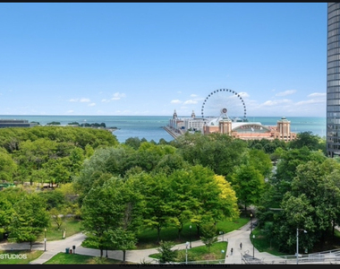 540 N Lake Shore Drive - Photo Thumbnail 13