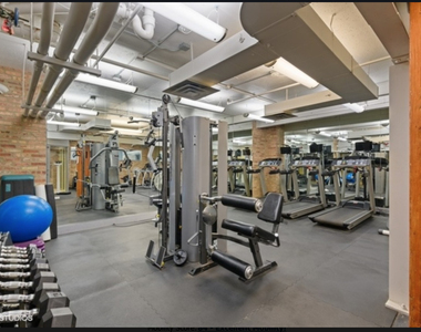 540 N Lake Shore Drive - Photo Thumbnail 14