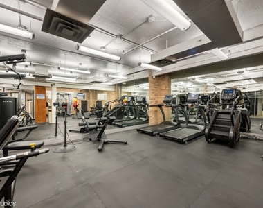 540 N Lake Shore Drive - Photo Thumbnail 15