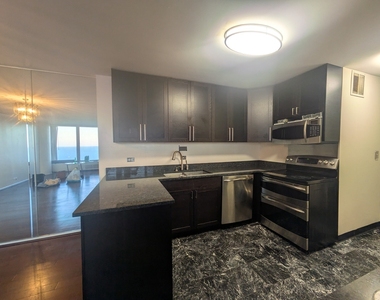 505 N Lake Shore Drive - Photo Thumbnail 6