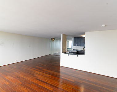 505 N Lake Shore Drive - Photo Thumbnail 16