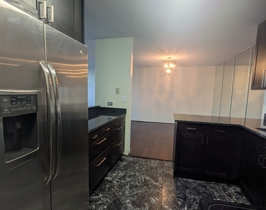 505 N Lake Shore Drive - Photo Thumbnail 7