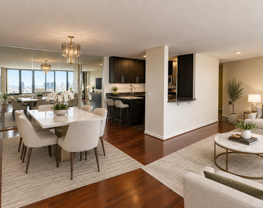 505 N Lake Shore Drive - Photo Thumbnail 21