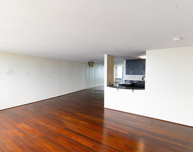 505 N Lake Shore Drive - Photo Thumbnail 15