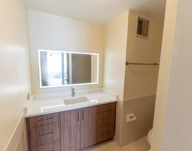 505 N Lake Shore Drive - Photo Thumbnail 19