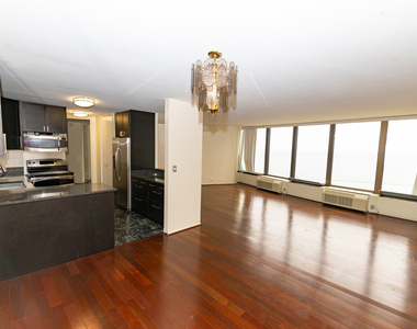 505 N Lake Shore Drive - Photo Thumbnail 14