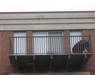 412 Kelburn Avenue - Photo Thumbnail 1