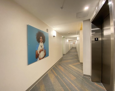 409 Elm - Photo Thumbnail 41