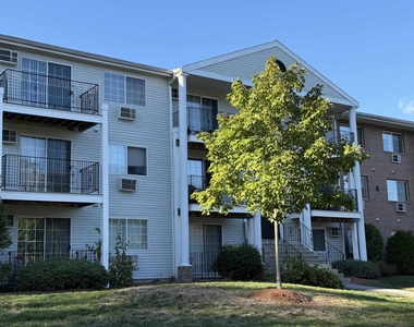 383 Huse - Photo Thumbnail 5