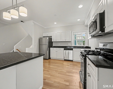 14 Haviland Street - Photo Thumbnail 15