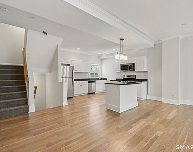 14 Haviland Street - Photo Thumbnail 12