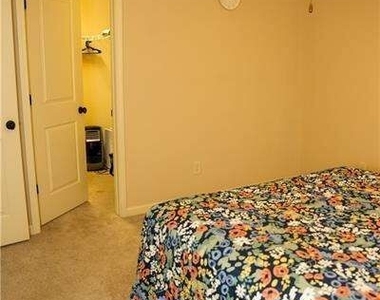 8445 Village School Drive - Photo Thumbnail 35