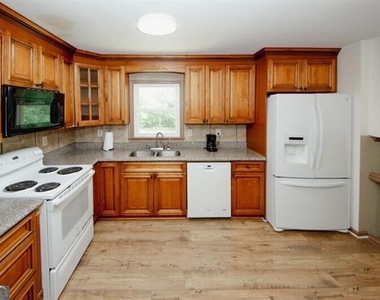 4033 Scenic Mountain Drive - Photo Thumbnail 8
