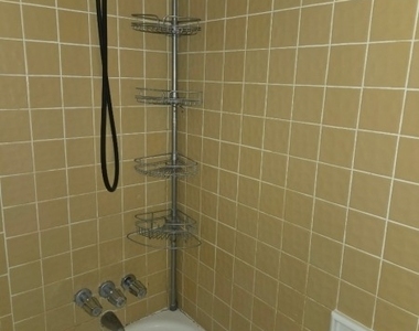 817 Ringwood Ave - Photo Thumbnail 9