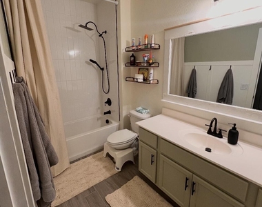 42097 W Lunar Street - Photo Thumbnail 3