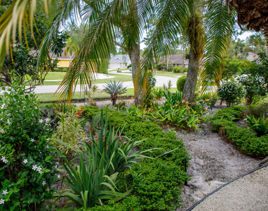 900 Cosmos Court - Photo Thumbnail 4