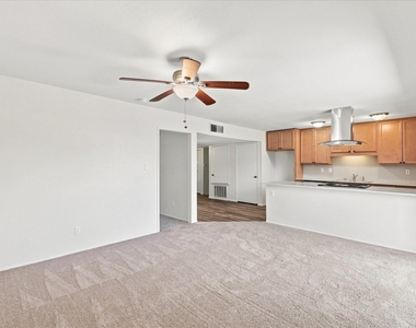 411 Clear Creek Lane - Photo Thumbnail 11