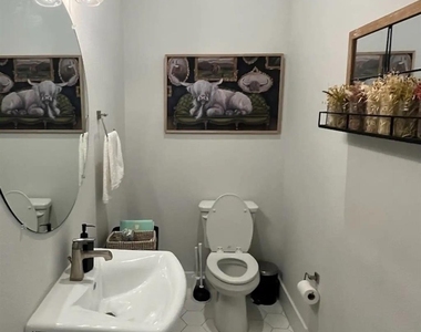 4427 Viburnum - Photo Thumbnail 11