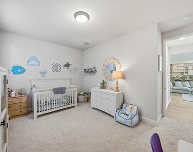 2229 Plumeria Lane - Photo Thumbnail 21