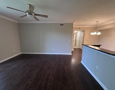 15125 Michelangelo Boulevard - Photo Thumbnail 14