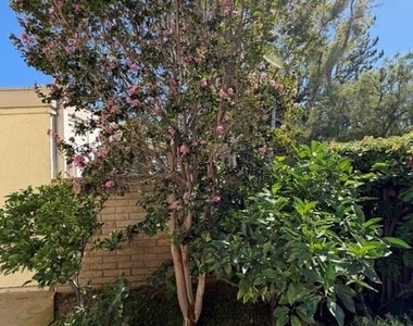 6 Willow Tree Lane - Photo Thumbnail 47