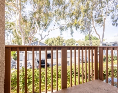 32311 Alipaz Street - Photo Thumbnail 59