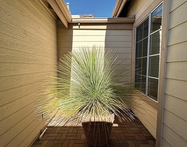 236 Downey Lane - Photo Thumbnail 19