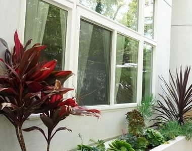 1038 11th Street - Photo Thumbnail 18