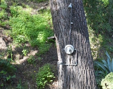 10416 Corfu Ln - Photo Thumbnail 22