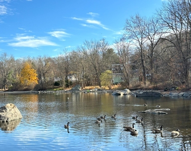 25 W Lakeshore Drive - Photo Thumbnail 31