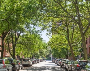 392 Adelphi Street - Photo Thumbnail 10