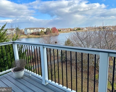 20594 Cornstalk Terrace - Photo Thumbnail 29