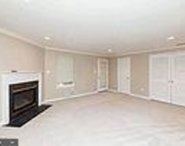 20131 Hardwood Terrace - Photo Thumbnail 19