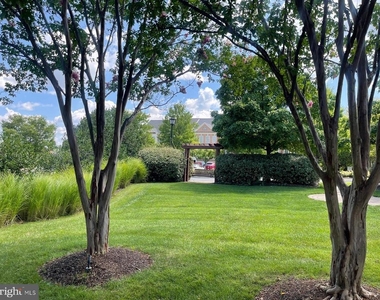 42243 Water Iris Terrace - Photo Thumbnail 38