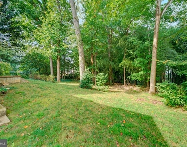 8125 Saxony Drive - Photo Thumbnail 49