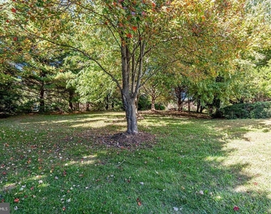 1168 Taji Court - Photo Thumbnail 80