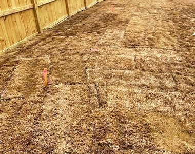 405 Vassar Drive - Photo Thumbnail 22