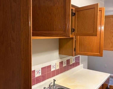 11255 Raging Brook Drive - Photo Thumbnail 5
