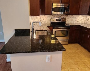 155 Potomac Passage - Photo Thumbnail 2