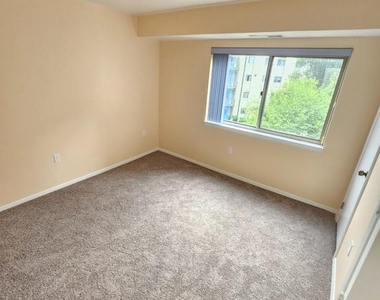12303 Braxfield Court - Photo Thumbnail 20