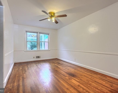 3 Wilfred Court - Photo Thumbnail 5