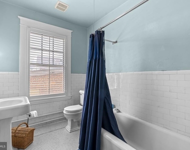 145 Prince George Street - Photo Thumbnail 35