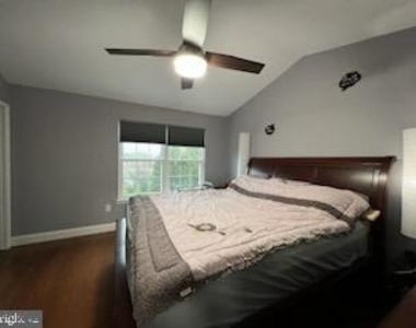 54 Emandan Lane - Photo Thumbnail 5