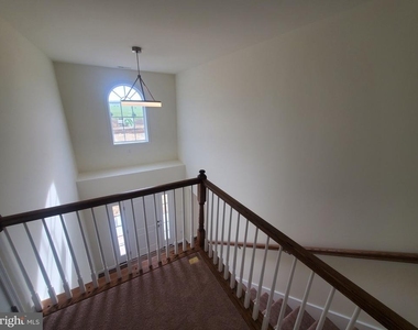 141 Cilento Drive - Photo Thumbnail 41