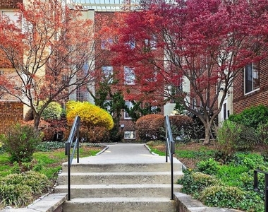 5405 9th Street Nw - Photo Thumbnail 3